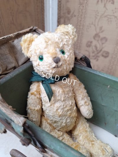 antiqueteddybear