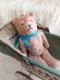 antiquepinkteddybear