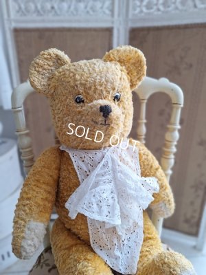 antiqueteddybear