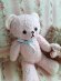 antiqueteddybear