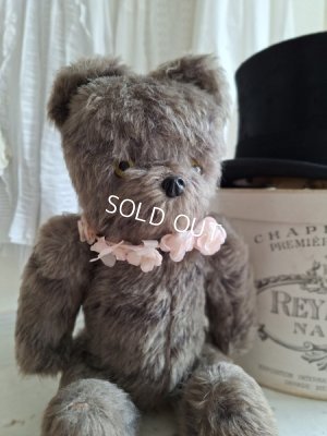 jpmteddybear