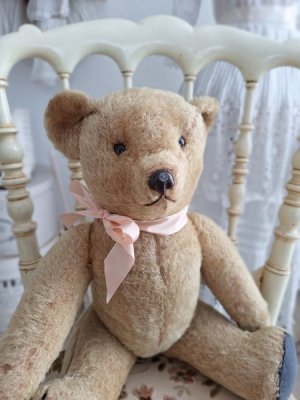 frenchteddybear