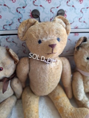 frenchteddybear